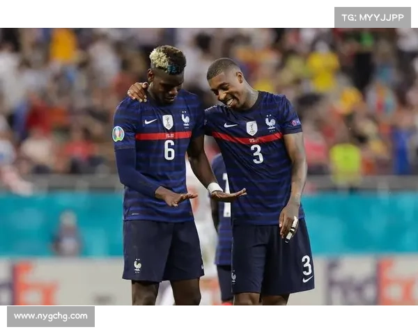 深入解析2023年法国对波兰比赛数据的方法探索路径与实践分析