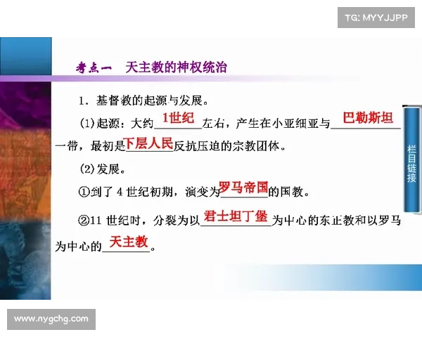 如何通过多渠道探索斯坦福桥的隶属组织及其历史背景