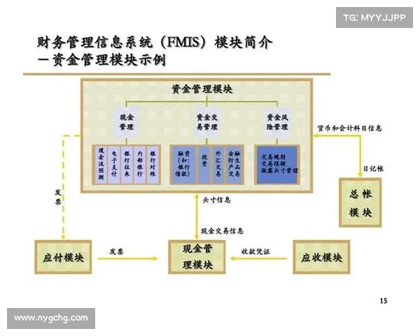 如何通过精细化财务管理助力足球俱乐部实现可持续发展与财务健康